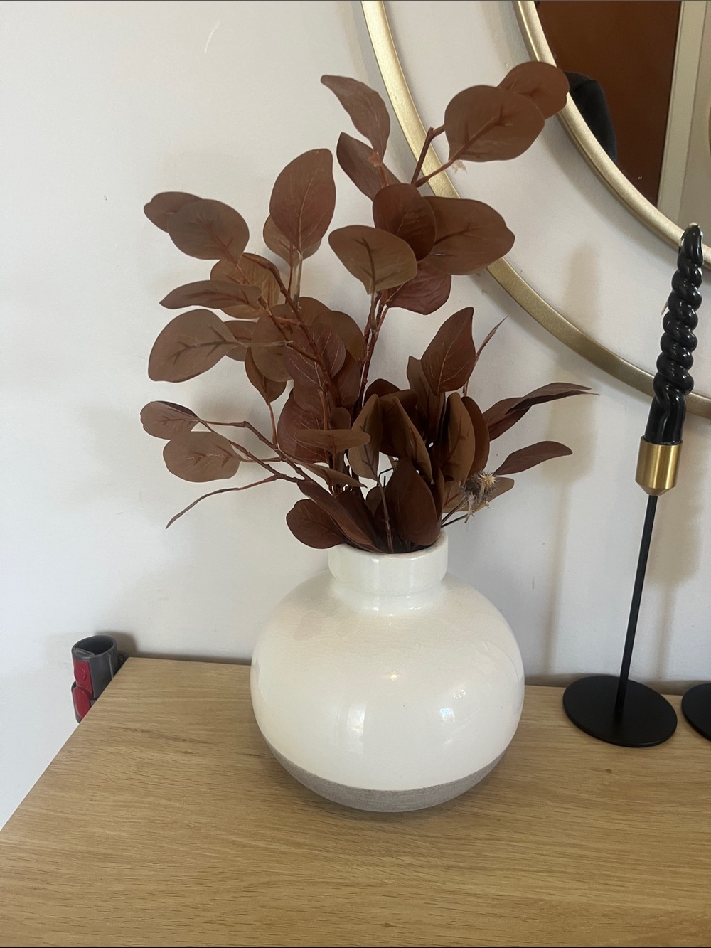 Decorative Brown Eucalyptus Stems in White Ceramic Vase - Home Accents